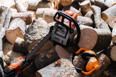 Modern chain saw and  firewood,closeup
