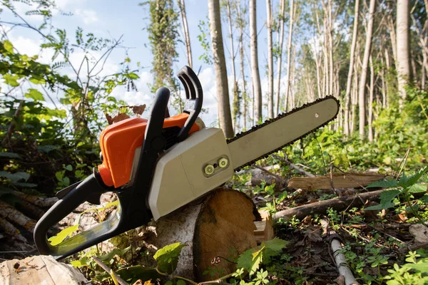 Werkzeug Benzinkettensäge Auf Baumstamm Wald Liegend — Stockfoto