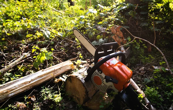 Fungerar Verktyget Bensin Motorsåg Liggande Logg Skogen — Stockfoto