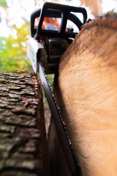 Gereedschap Benzine Kettingzaag Liggen Log Het Bos Werken — Stockfoto