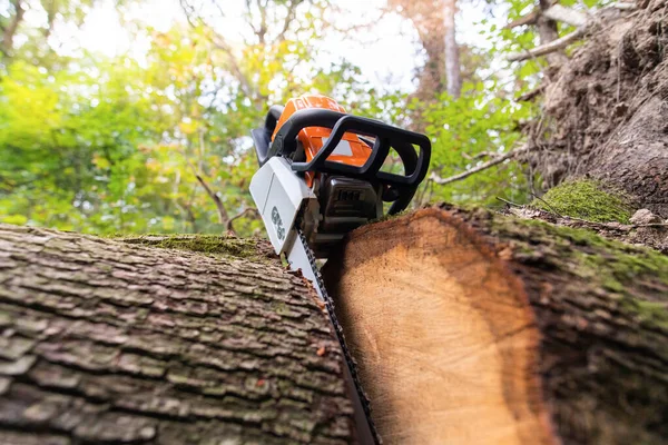 Herramienta Trabajo Motosierra Gasolina Tendida Tronco Bosque — Foto de Stock