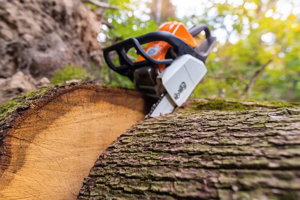 Herramienta Trabajo Motosierra Gasolina Tendida Tronco Bosque — Foto de Stock