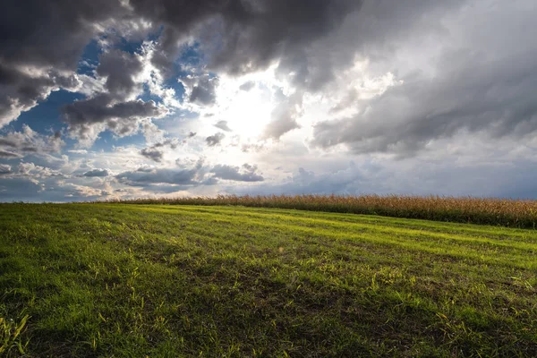 Prachtig Ochtendlandschap Van Zonsopgang Boven Jong Groen Graanveld — Stockfoto