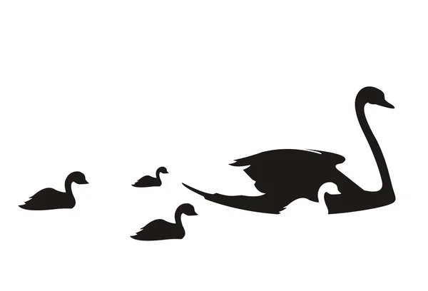 Silhouette of swans — Stock Vector