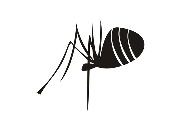 Černé skica Spider — Stockový vektor