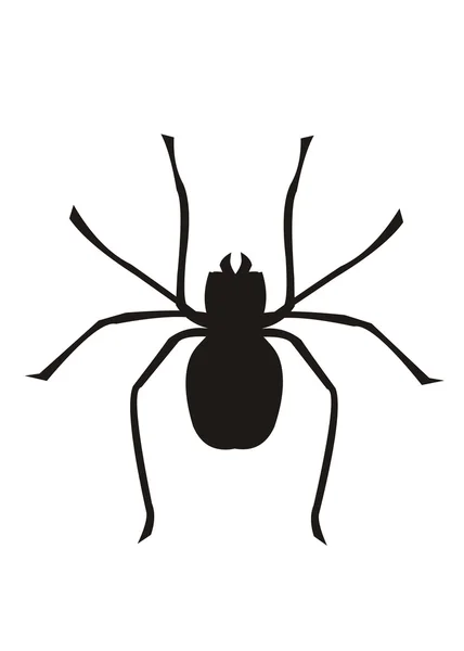 Imagen de araña — Archivo Imágenes Vectoriales