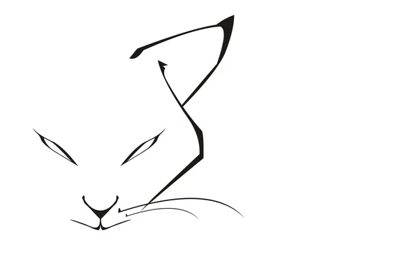 Tête de chat — Image vectorielle