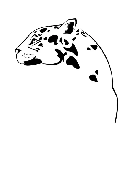 ジャガー — ストックベクタ