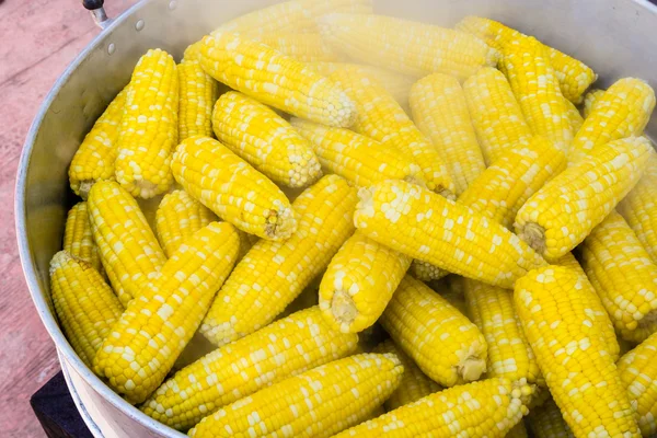 Пару кукурудзи — стокове фото