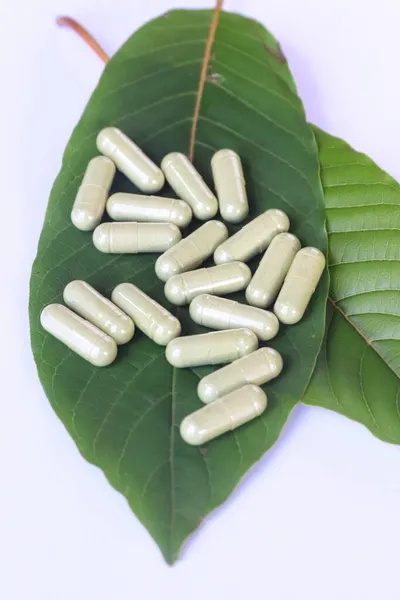 Kapseln Des Pflanzlichen Präparates Kratom Mitragyna Speciosa Kapseln — Stockfoto