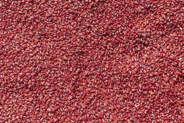 Dried Red Bean Seed Azuki Bean Red Kidney Beans Tuxture — Stock Photo, Image