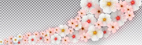 투명 한 배경에 흰색 과 분홍색의 봄 꽃이 핀다. 현수막, 포스터, 프레젠테이션의 틀. Vector — 스톡 벡터