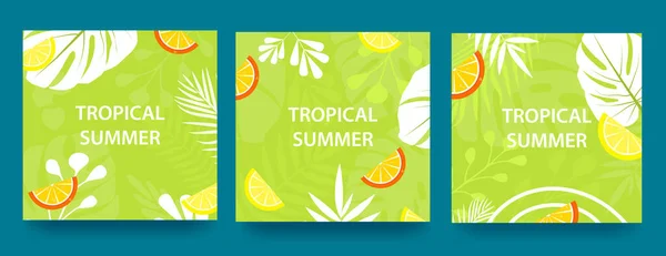 Set of advertising banners with tropical leaves, plants and citrus pieces. Announcement of a new collection, discounts on it, summer sale. Template for sale, advertising, web. Vector — стоковый вектор