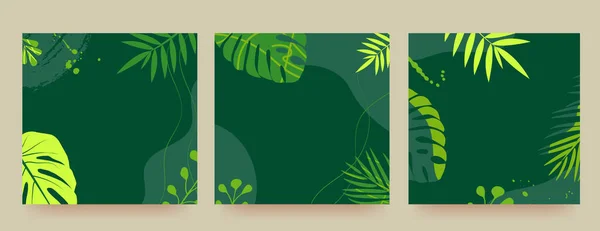Набор рекламных баннеров с тропическими листьями, растениями и модными цветочными нашивками. Тропическое лето. Объявление о новой коллекции, скидки на нее, летняя распродажа. Вектор — стоковый вектор