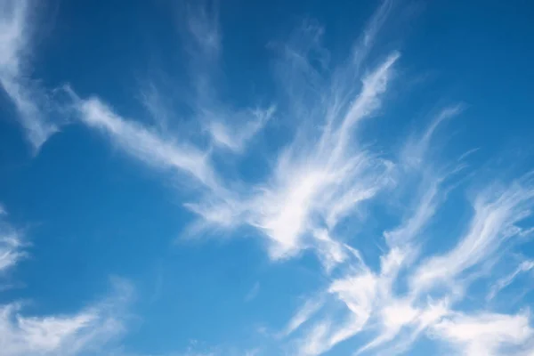 Summer blue sky cloud gradient light white background. Beauty, clear, cloudy in the sun. Calm bright aerial background.