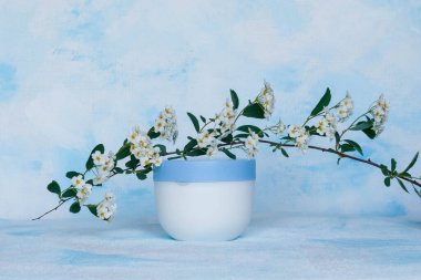 Saf beyaz, plastik, konteynır. Kozmetik, krem, saç maskesi, tıbbi ve güzellik ürünleri için ambalaj, şişe şablonu. Beyaz-mavi arkaplan.