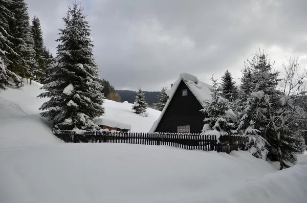 Cozy cottage next to the forest — Stock Photo, Image