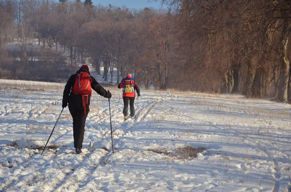 Skirennläuferin am frühen Morgen in der Natur Stockfoto