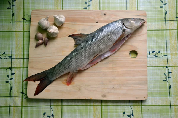 Poisson frais sur la table (barbel ) — Photo