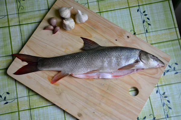 Tablonun (karakeçi üzerinde taze balık) — Stok fotoğraf