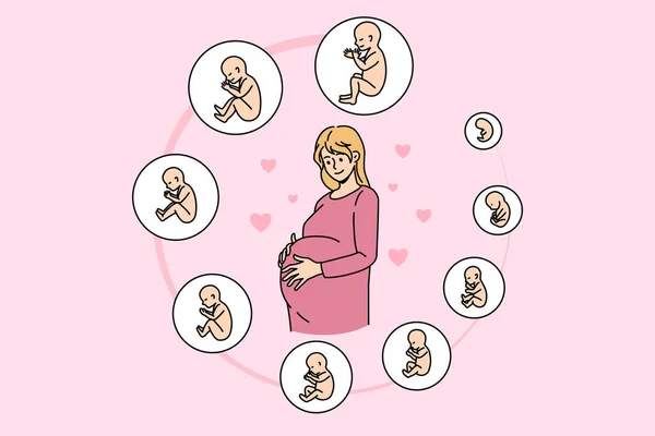 Вагітна жінка з етапами розвитку ембріона — стоковий вектор