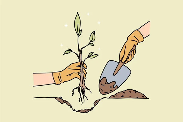 Personne avec pelle plante arbre dans le sol — Image vectorielle