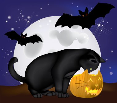 Cadılar Bayramı caturday