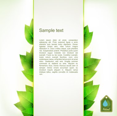 yeşil yapraklar arkaplan