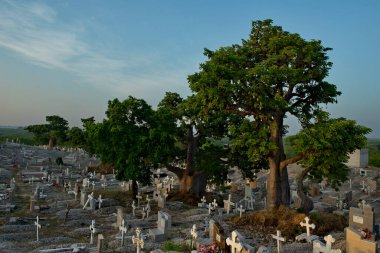 Joal. Senegal. 15 Ekim 2021. Fadiut adasındaki balıkçı köyünün yakınında görkemli baobab 'larla çevrili Katolik mezarlığı. Hem mezarlık hem de ada tamamen deniz kabuklarıyla kaplı..