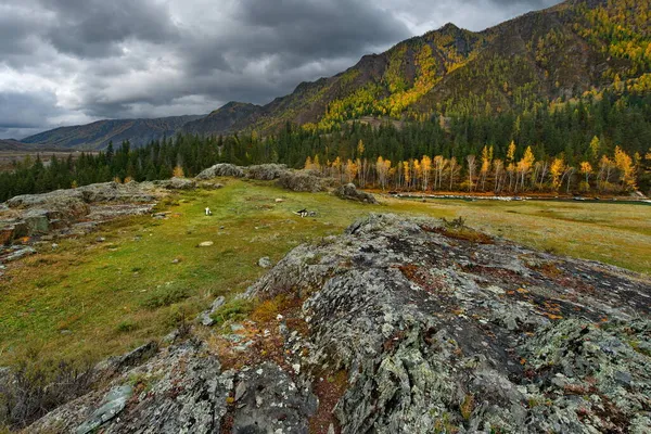 Ryssland Söder Västra Sibirien Altaibergen Klippiga Mossiga Lämningar Dalen Chuya — Stockfoto