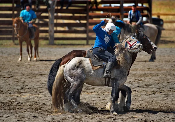 クッチェゲン ロシアだ 2021年5月15日 アルタイ国立馬術ゲームKok Boru 馬の両方のチームから2人の選手が切断されたヤギの死体のために戦っています アウラ 重さ35キロ — ストック写真