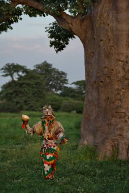 Nguekhokh. Senegal. 14 Ekim 2021. Sahte Aslan 'ın kostümlü gösterisine katılanlar asırlık baobablarla çevrili bir aslan dansının görüntüsüne büründüler.. 