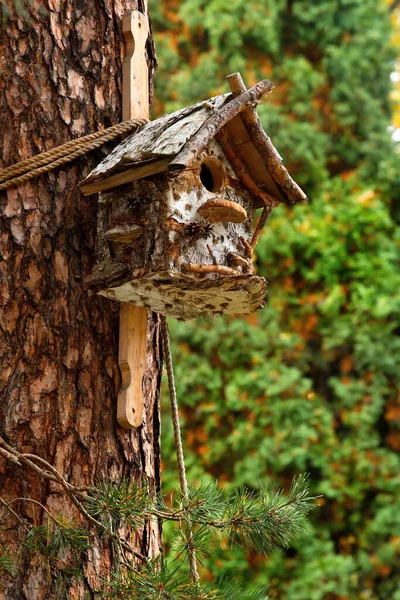 Rusland Moskou Een Vogelhuisje Gemaakt Van Berkenschors Geïnstalleerd Stam Van — Stockfoto