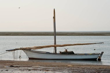 Batı Afrika. Moritanya 'da. Banc Ulusal Doğa Parkı 'nda kıyıya demirlemiş eşsiz yelkenli tekneleri. Bu yerel balıkçıların ana su taşımacılığıdır..