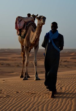 Shingetti. Moritanya 'da. Ekim 05, 2021. Ulusal elbiseli yalnız bir Mağripli Sahra Çölü 'nün kumlu kumullarında tek hörgüçlü bir deveye önderlik ediyor..