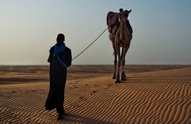 Shingetti. Moritanya 'da. Ekim 05, 2021. Ulusal elbiseli yalnız bir Mağripli Sahra Çölü 'nün kumlu kumullarında tek hörgüçlü bir deveye önderlik ediyor..