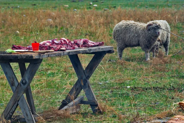 Россия Западной Сибири Алтайские Горы Мясо Ягненка Которого Готовится Традиционный — стоковое фото