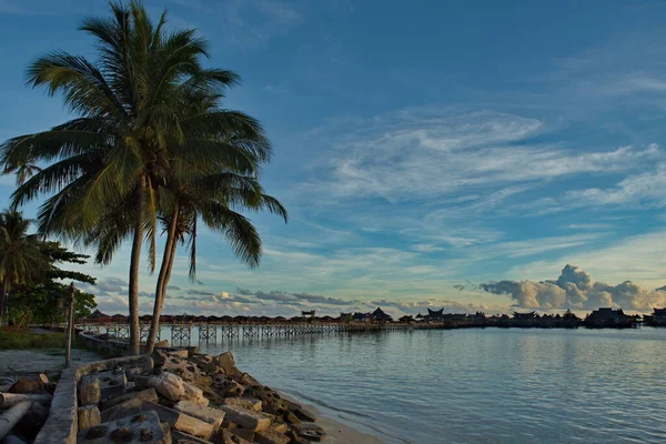 Malaysia Östra Kusten Borneo Palmdunge Stranden Korallön Mabul Känd För — Stockfoto