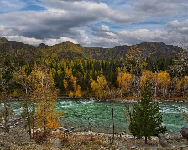 Rússia Sul Sibéria Ocidental Nas Montanhas Altai Somente Meio Outono — Fotografia de Stock