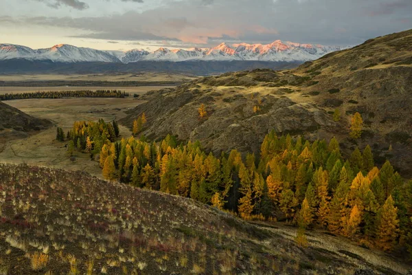 Russland Südliches Westsibirien Berg Altai Herbstliche Dämmerung Nord Tschuyskij Gebirge — Stockfoto