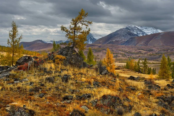 Rosja Południowa Syberia Zachodnia Góry Altai Początek Jesieni Malowniczych Skalistych — Zdjęcie stockowe