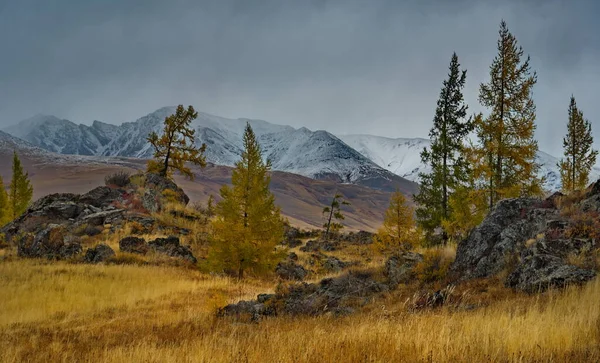 Rusya Batı Sibirya Nın Güneyi Altai Dağları Sonbaharın Başlangıcı Chui — Stok fotoğraf
