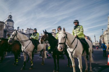 Başbakanlık Caddesi, Londra the 124; İngiltere - 2022.02.26: Savaş karşıtı Ukrayna protestosunda görevli polis memurları