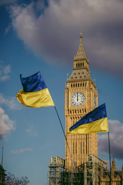 Parlamento Meydanı, Londra -124; İngiltere - 2022.03.06: Savaş karşıtı protestoda Big Ben parlamento binası önünde Ukrayna bayrakları