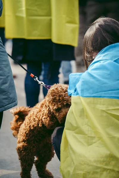 Trafalgar Meydanı, Londra - 124; İngiltere - 2022.03.20: Ukrayna 'nın Rus işgaline karşı protestodaki güzel köpek 