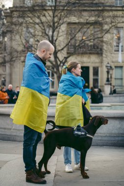 Trafalgar Meydanı, Londra - 124; İngiltere - 2022.03.20: Ukrayna 'nın Rus işgaline karşı protestodaki güzel köpek 