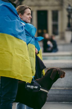 Trafalgar Meydanı, Londra - 124; İngiltere - 2022.03.20: Ukrayna 'nın Rus işgaline karşı protestodaki güzel köpek 