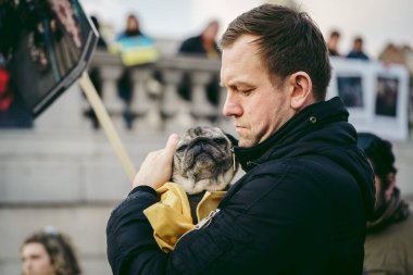 Trafalgar Meydanı, Londra - 124; İngiltere - 2022.03.20: Ukrayna 'nın Rus işgaline karşı protestodaki güzel köpek 