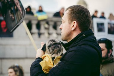 Trafalgar Meydanı, Londra - 124; İngiltere - 2022.03.20: Ukrayna 'nın Rus işgaline karşı protestodaki güzel köpek 
