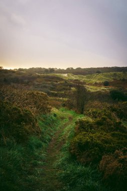 St Ouen Körfezi 'nin güney ucundaki batı Jersey' deki kum tepelerinden geçen güzel bir patika.